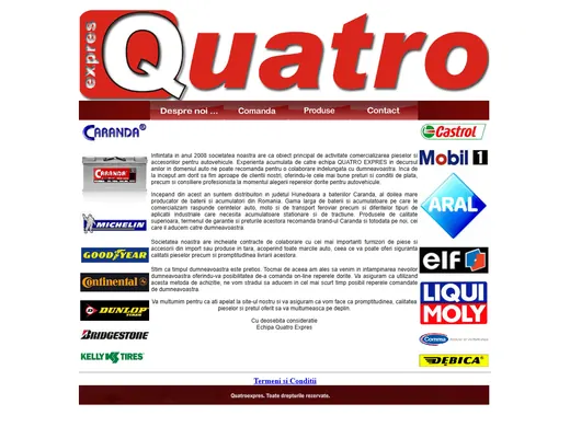 Site-ul actual — distribuitor piese auto